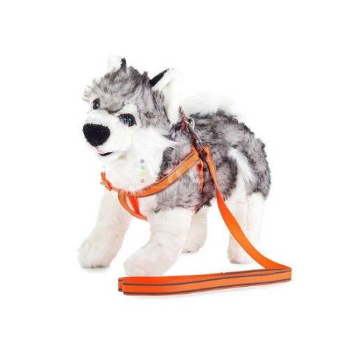 Шлейка для кошек и собак + светоотражающий поводок 2 см